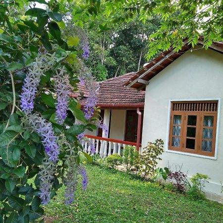 The Pepper Cottage Gomagoda Eksteriør billede