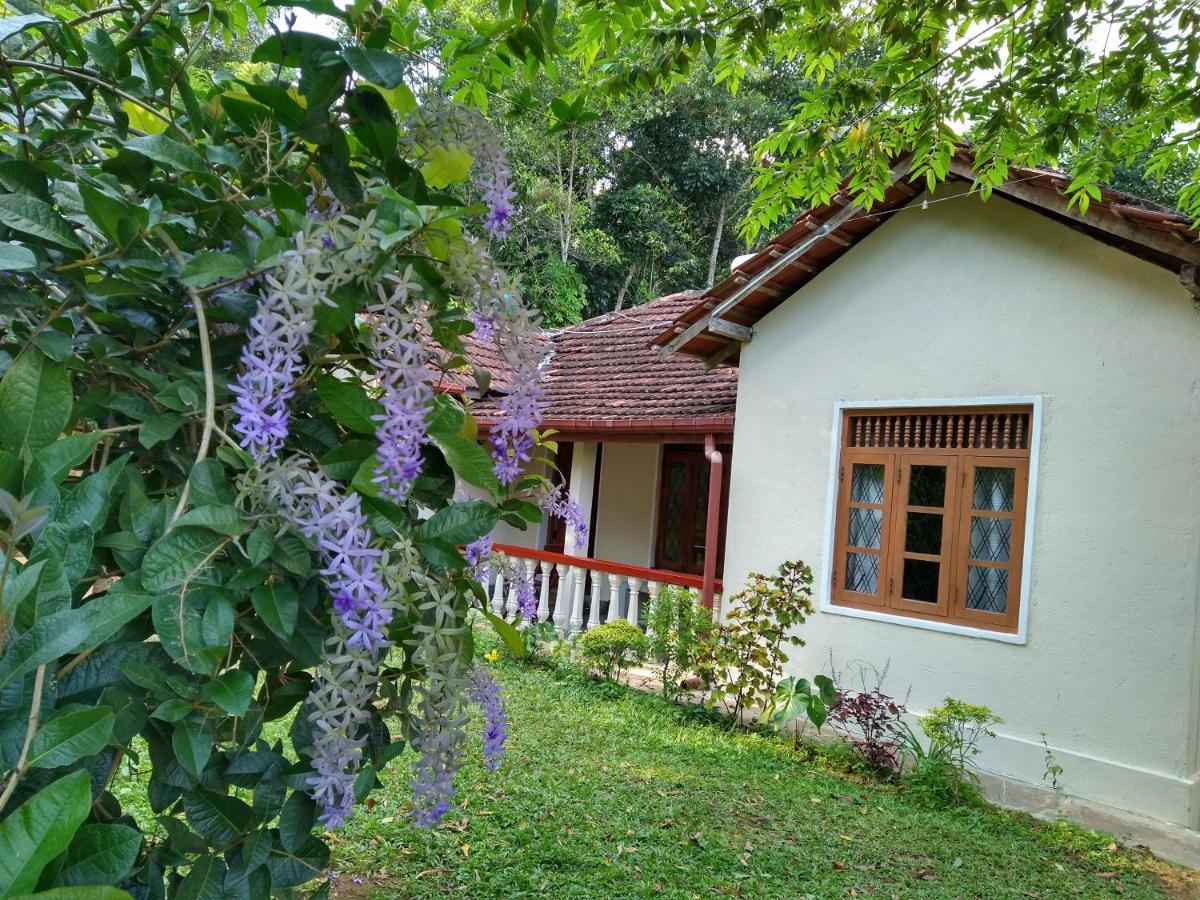 The Pepper Cottage Gomagoda Eksteriør billede