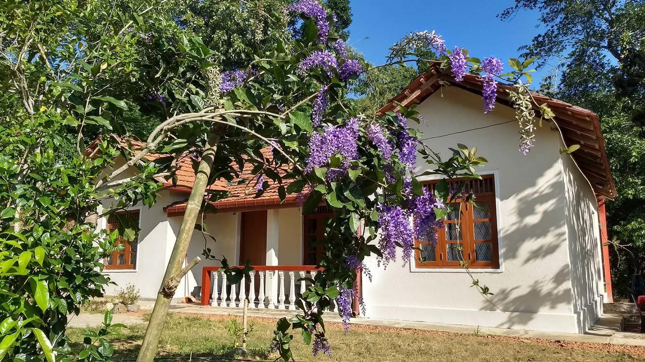 The Pepper Cottage Gomagoda Eksteriør billede